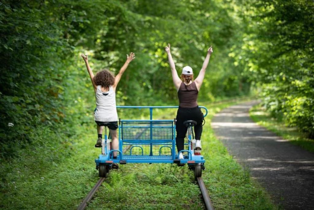 Gite Rural "L'Anseromia" دينانت المظهر الخارجي الصورة