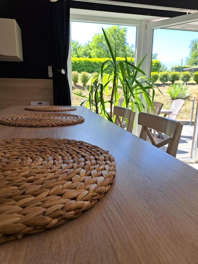 Gite Rural "L'Anseromia" دينانت المظهر الخارجي الصورة