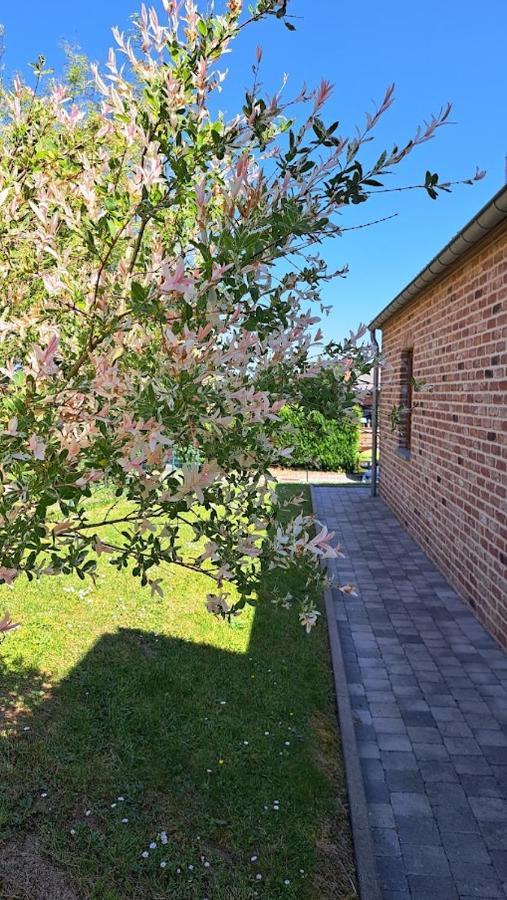 Gite Rural "L'Anseromia" دينانت المظهر الخارجي الصورة